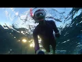 Download Lagu Snorkeling with Ocean Dreams Pacific by TIM ROCK