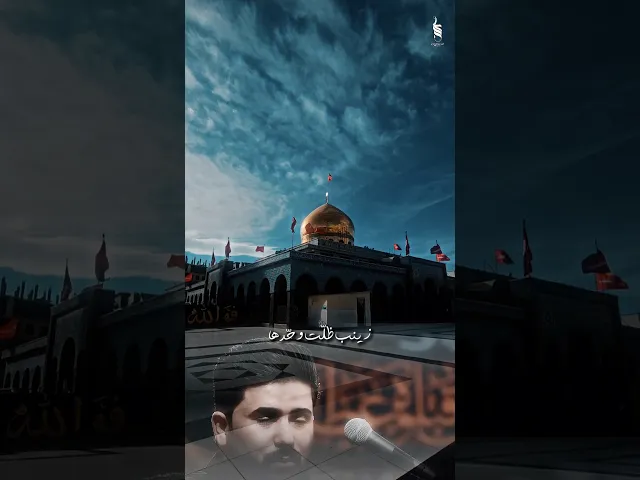 ⁣زينب ضلت وحدها #علي_الساعدي #الملا_علي_الساعدي