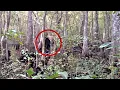 Impressive Bigfoot Skunk Ape sighting in Mississippi - from 2013