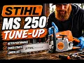 STIHL MS250 TUNE UP