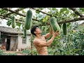 Download Lagu Preserving Sunshine: Drying Winter Melon For Delicious And Convenient Winter Stews And Meals!