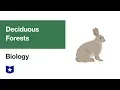Deciduous Forest Biome Biology