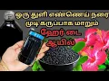 Download Lagu 💯ஒரே வாரத்தில் நரைமுடி🍀நிரந்தரமாக கருப்பாக மாறும் அதிசயம்...ஹேர் டை ஆயில்..Instant Hair Dye Natural