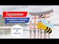 Learn Japanese with Honeybee Fluency - Reading and Pronunciation Hiragana R Column
