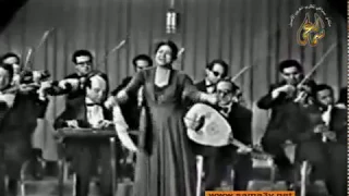 اقولك ايــــه شويه انى اقولك حبيبى ياريت فيه كلمه اكثر من حبيبى و ام كلثوم 