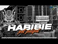 Lagu DJ PARTY HABIBIE X PET POLIPET JINGLE BRT AUDIO 
