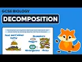 Decomposition Decomposers - GCSE Biology