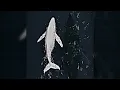 h6itam - FUNK SIGILO (ULTRASLOWED)