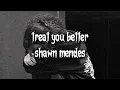 treat you better, shawn mendes - ( slowed + muffled )