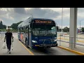 Pace 2020 New Flyer Xcelsioer XD40 Pace Bus 330 Mannheim Lagrange Rd From Rosemont To Archer