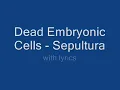 Dead Embryonic Cells - Sepultura with lyrics