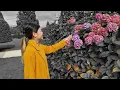 Memento (回憶半分鐘) 雲浩影(Cloud Wan) - cover by Ian