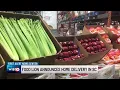 Food Lion announces grocery delivery service for South Carolina