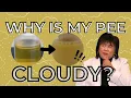 Why Is My Urine Cloudy