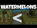 Watermelons are better than Magic trees