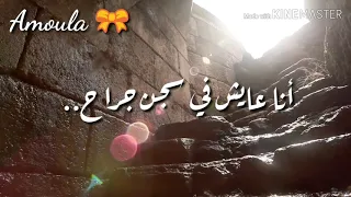 أغنية مش لايق عليا محمد منير بالكلمات 