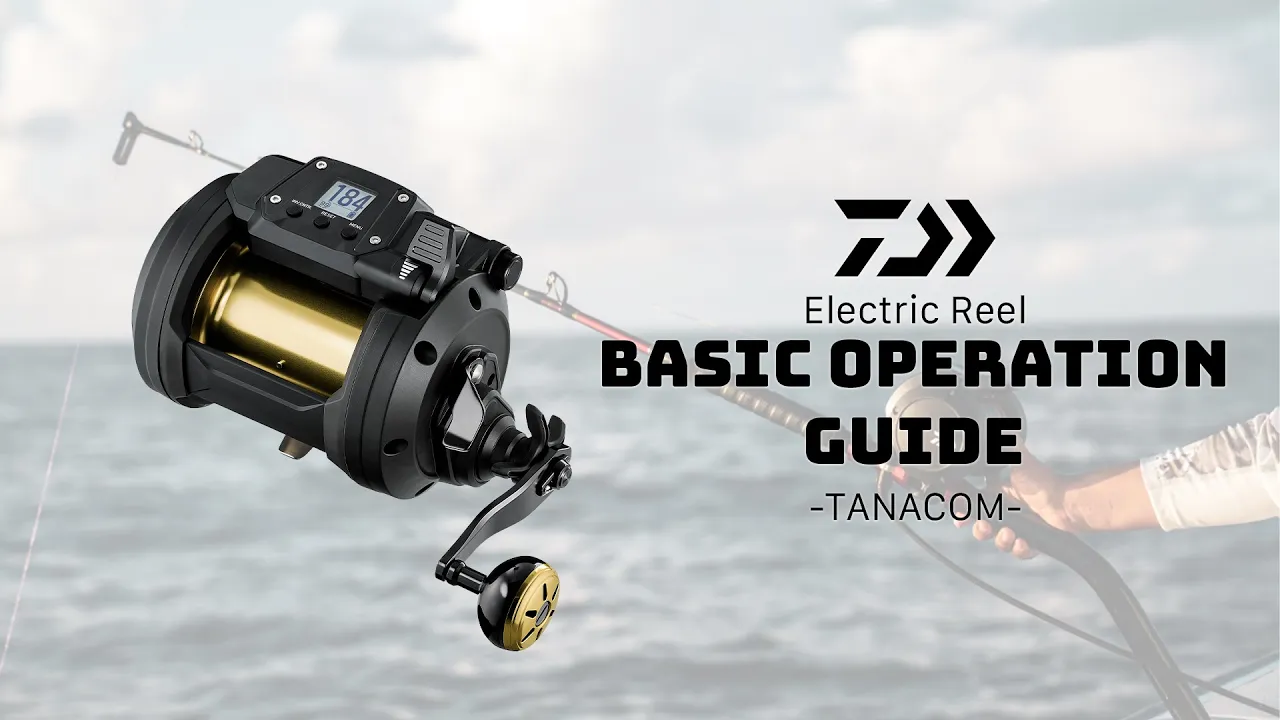 Daiwa Tanacom 800 Power Assist Kite & Deep Drop Reel
