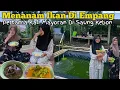 Download Lagu HIDUP SEDERHANA DI DESA | BELANJA IKAN UNTUK DI KOLAM KEBON LANJUT MAYORAN DI SAUNG