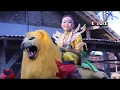 Download Lagu BALIMBING ASIH NAEK BAJU LORENG SISINGAAN ALAN GROUP Live,Kunir 11 November 2019