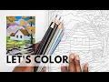 Bob Ross Color-By-Number COLOR ALONG Adult Coloring