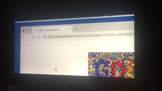 Don t fuck with cats Jamseycramsalotinhisass