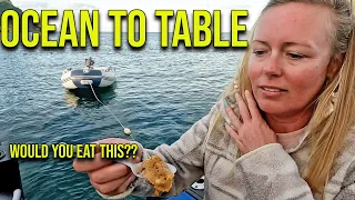 Ocean to Table: Sailing New Zealand for Seafood – Episode 146