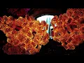 Project Paradis, Mr. Carmack & Promnite - Cut 22 (Official Full Stream)