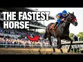 Ranking the 10 Fastest Racehorses in History Is Not Who You Think