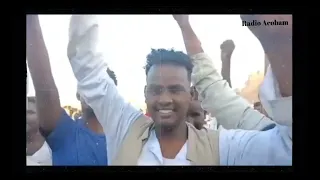 الفنان النيل محمد حامد ساريت 