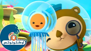 أوكتونوتس شيلينغتون يقابل قنديل بحر خالد ا القطع الأفضل 