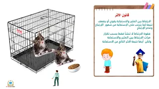 شرح نظرية التعلم بالمحاولة والخطأ عند ثورندايك علم نفس تالتة ثانوى نظام جديد 2022 