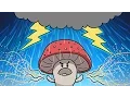 How Mushrooms Make It Rain