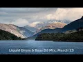 Download Lagu Liquid Drum \u0026 Bass DJ Mix, March'25