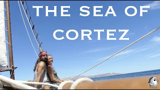 Salt & Tar: Ep.238- Bouncing Around the Coves of La Paz