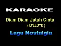 Lagu KARAOKE DIAM DIAM JATUH CINTA