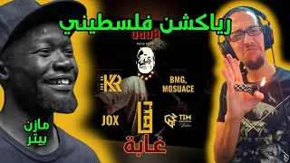 رياكشن فلسطيني مازن بيتر غابة Mazin Peter GABA 