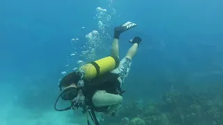 Scuba Diving: Rainbow Reef and Northwind Tug Wreck in St. Croix USVI – Sailing Sweet Ruca