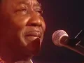 Download Lagu Muddy Waters Live Dortmund Jazz Festival 1976