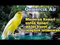 Download Lagu MASTERAN KENARI 1 JAM FULL GEMERCIK AIR ANTI STRES