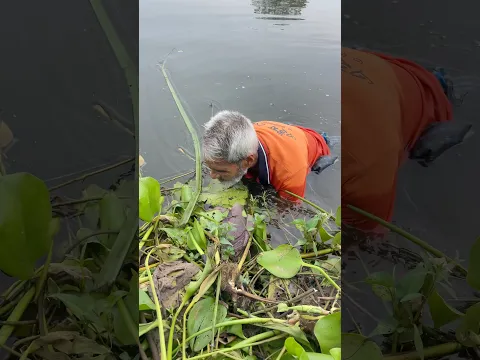 Beautiful village fishing #fishing #handfish #fish
