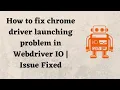 How to fix chrome driver launching problem in Webdriver IO Issue Fixed