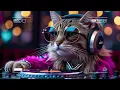 Mega Music Mix 2025 🎧 EDM Mixes of Popular Songs 🎧 EDM Bass Boosted Music Mix 🎧 4 hours Party Mix