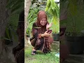 Download Lagu Waduh aku kenak tipu  istri sendiri😭😭