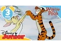 Download Lagu The Mini Adventures of Winnie the Pooh | Unbouncing Tigger | @disneykids