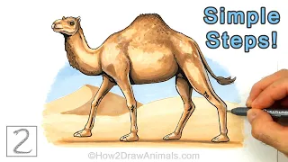Easy Way to Draw a Camel Using Simple Shapes