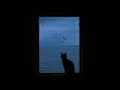Download Lagu playlist for calm days / calm sped up playlist