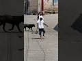 Download Lagu Bêbado e Desgovernado! 🤣