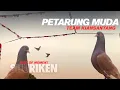 Download Lagu PETARUNG MUDA TEAM KIANSANTANG SHURIKEN RAIH TROPHY DI LAPAK SOUL CITY