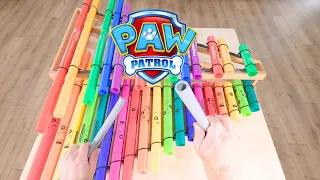 Paw Patrol with Cool Instruments!