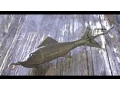The 5 Most Expensive Lures Ever